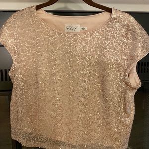 Champagne sequined top size 2